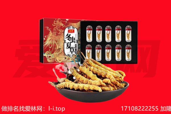 伊犁伊宁县回收虫草.jpg